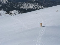 Sommet du Cheiron - 16 mars